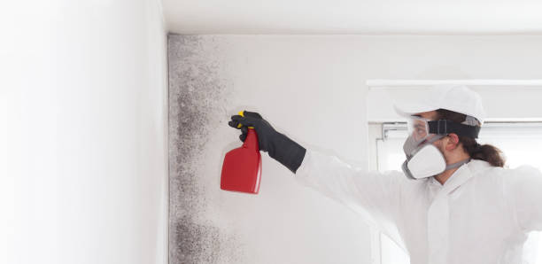 Chamberlain, SD Mold Removal Company