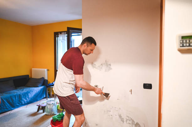 Attic Mold Removal in Chamberlain, SD